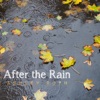 After the Rain - Single