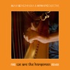 Fire (We Are the Horsemen Remix) - Single