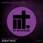 What You Need (Babert Remix) artwork