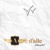 À tire d'aile - Single