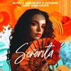 Señorita (with Hard Lights) - Single