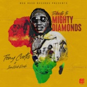 Tony Curtis, IamNuhRush - Tribute To Mighty Diamonds