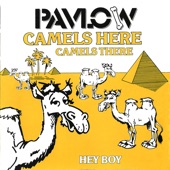 Camels Here, Camels There (Remastered) artwork