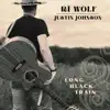 Long Black Train (feat. Justin Johnson) - Single album lyrics, reviews, download