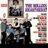 The Hollies - Too Many People
