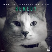 Remedy (Extended Mix) artwork