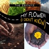 My Flower (I Didn't Know) - Single