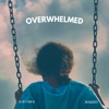 Overwhelmed - Single