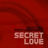 Secret Love (feat. Kristina S.) - Single