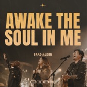 Awake the Soul in Me artwork