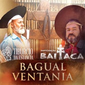 Bagual Ventania artwork