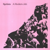 Sprints - Im In A Band