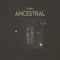 Ancestral (Novalima Remix) [feat. Rawa Muñoz] - Punku lyrics