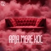 Aaja Mere Kol - Single