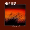 Slow Burn - Single
