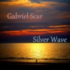 Silver Wave - Single