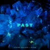 Past - Single