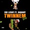 TWINNEM (feat. DaBaby) - Coi Leray lyrics