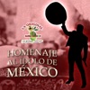 Homenaje Al Ídolo De México - Single
