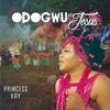 Odogwu Jesus - Single