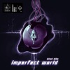 Imperfect World - Single