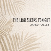 The Lion Sleeps Tonight (Acapella) artwork