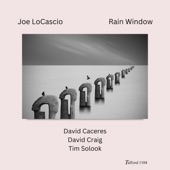 Joe LoCascio - Rain Window (feat. David Craig & Tim Solook)