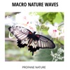 Macro Nature Waves - Profane Nature