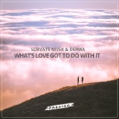 What's Love Got To Do With It artwork