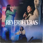 Reverdeceras (feat. Nimsy Lopez) [Live] artwork