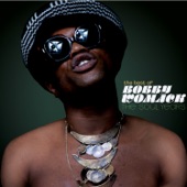 Bobby Womack - Fly Me To The Moon (In Other Words)