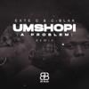 Umshopi (Remix) - Single