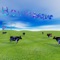 Outdoor Cattle Congregation cover