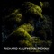 Feeling Regenerator - Richard Kaufmann lyrics