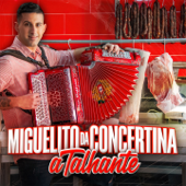 A Talhante - Miguelito Da Concertina