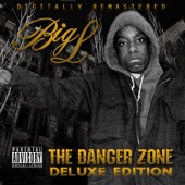 The Danger Zone (Deluxe Edition) artwork
