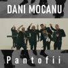 Pantofii - Single