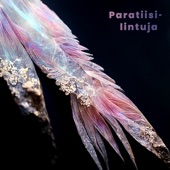 Paratiisilintuja artwork