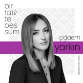 Bir Tatlı Tebessümün artwork