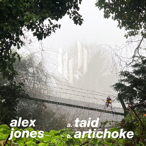 Taid - Single by Alex Jones
