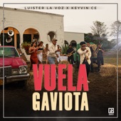 Vuela Gaviota artwork