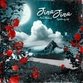 Jina Jina (feat. Signature By Sb) artwork