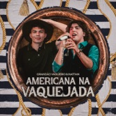 Americana Na Vaquejada artwork