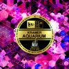 Aquarium - Single