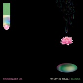 What Is Real by Rodriguez Jr.