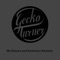 Chicken Wire (Souleance Remix) - Gecko Turner lyrics