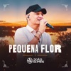 Pequena Flor - Single