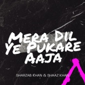 Mera Dil Ye Pukare Aaja artwork