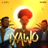 Iyawo (feat. Zaki Amujei) - Single