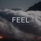 Feel - Celeste Buckingham lyrics